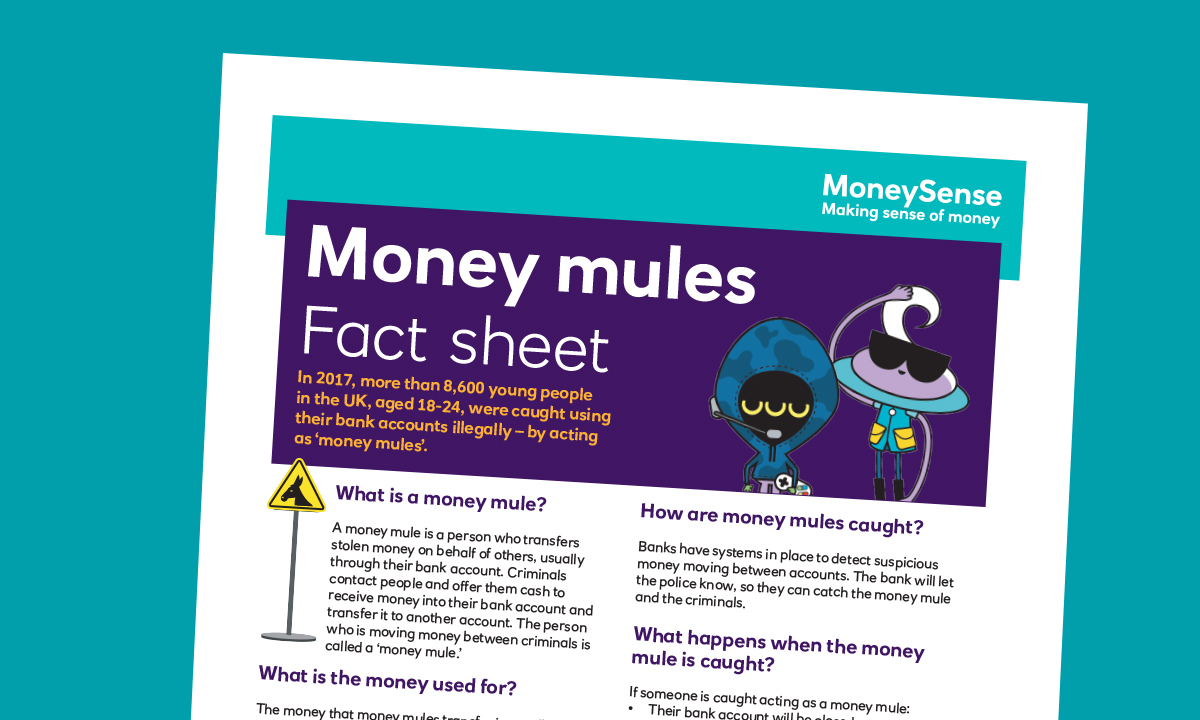 Fact sheet for Money mules