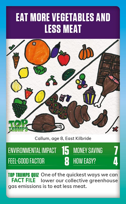 Winning MoneySense COP26 Top Trumps card design - A drawing of a table with a mixture of fresh fruit and vegetable and meat on it, with the message eat more vegetables and eat less meat